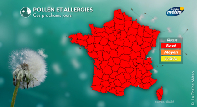 Pollens Et Allergies